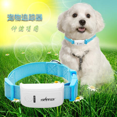 宠物定位器 定位项圈