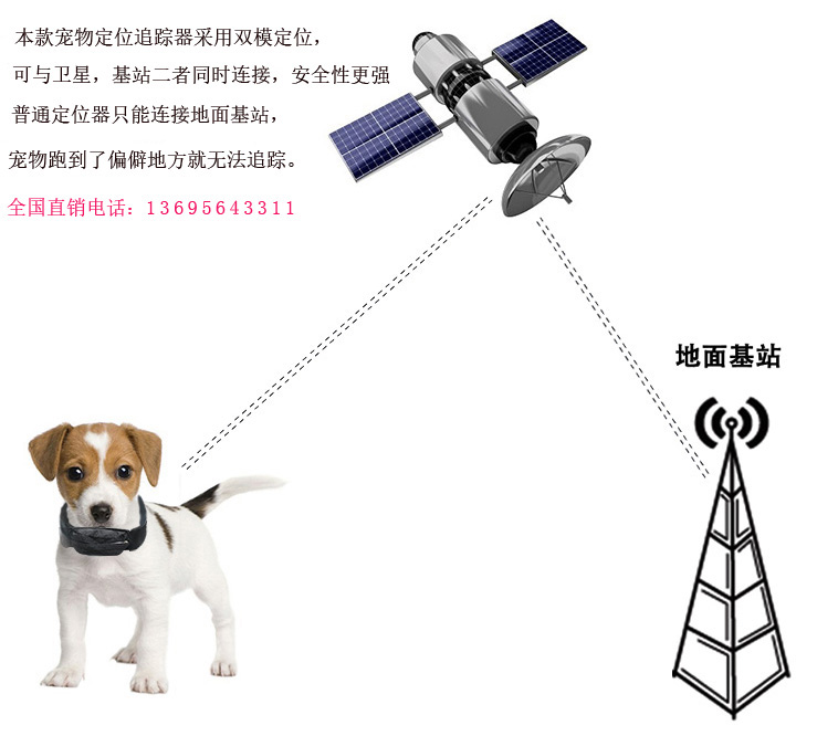 宠物定位器 定位项圈