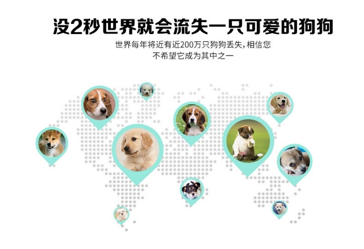 高精度宠物定位器