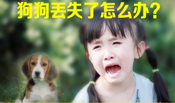 高精度宠物定位器