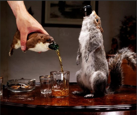 苏格兰啤酒公司BrewDog新款啤酒