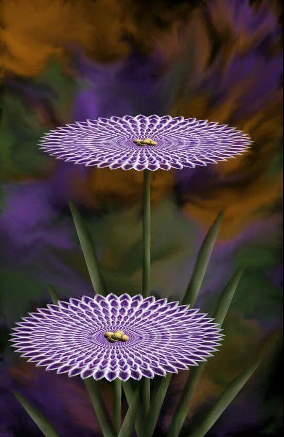 奇花异草 新奇植物 大千世界