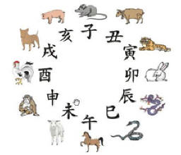 十二生肖改命法