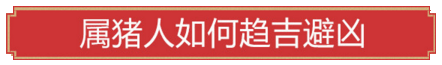 属猪人如何趋吉避凶