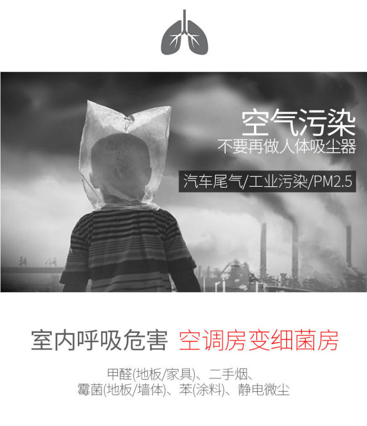 德国进口室内空气净化器 除异味产品 除甲醛设备