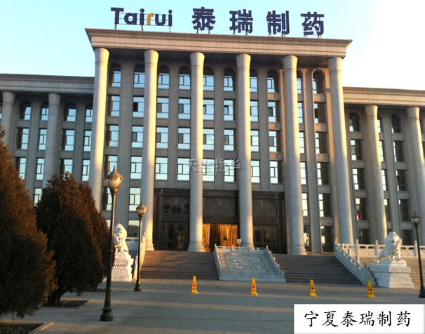 铜装饰 铜建筑工程案例--宁夏泰瑞制药