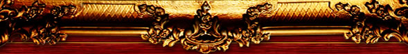 ŷ涯Ӱ