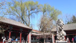 中国传统文化教育机构 北京大地明德国学园带领学生逛公园