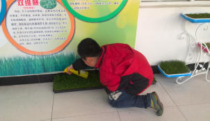 中国传统文化教育培训学校学生在进行无土栽培