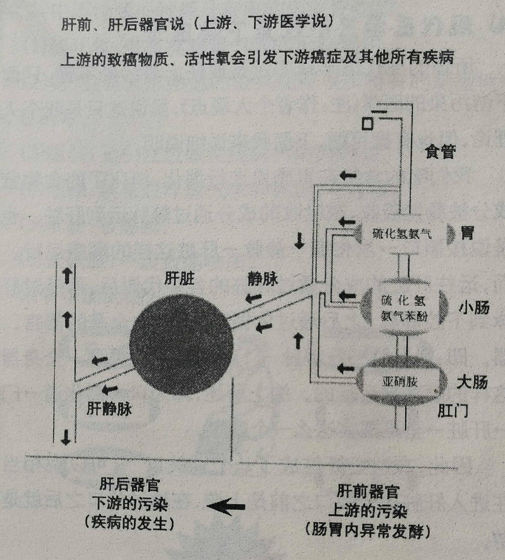 现代医学只不过是下游医学