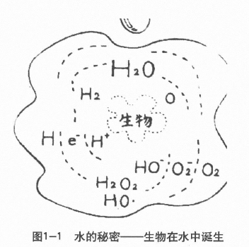 水的秘密 生物在水中诞生 生命之水-富氢水排毒插图