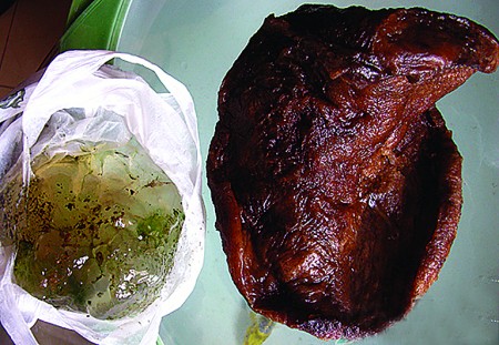 地球上发现的第四生命体 太岁“肉灵芝”
