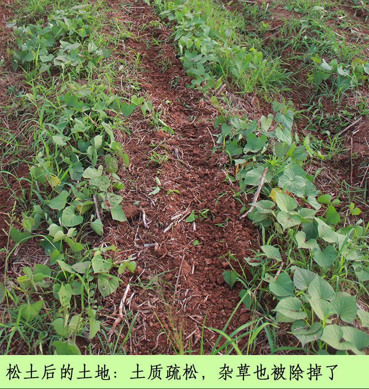 背负式汽油锄地松土除草机|大棚果园翻土旋耕机|割草机|微耕机|松土机