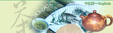 养生保健绿茶