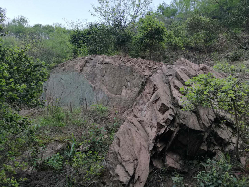 绿茶,高山茶叶,深山茶叶,养生茶叶,保健茶叶,绿色茶叶,荒山茶 直销电话:(+86)13695643311