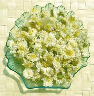 黄山贡菊