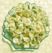 黄山贡菊