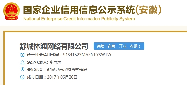 舒城林润网络有限公司 网站建设单位 高温瓷像制作公司 激光瓷像培训机构
