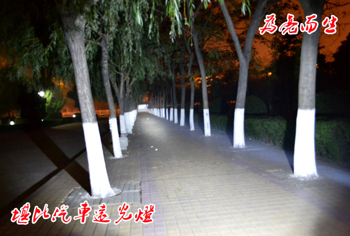 风行户外强光手电筒照明效果 LED高亮度手电筒直销 防水手电筒批发