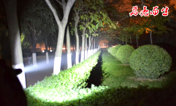 风行户外强光手电筒照明效果 LED高亮度手电筒直销 防水手电筒批发