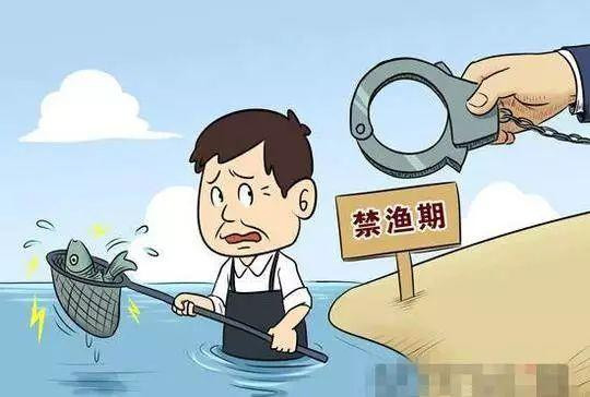 禁渔期禁止捕鱼