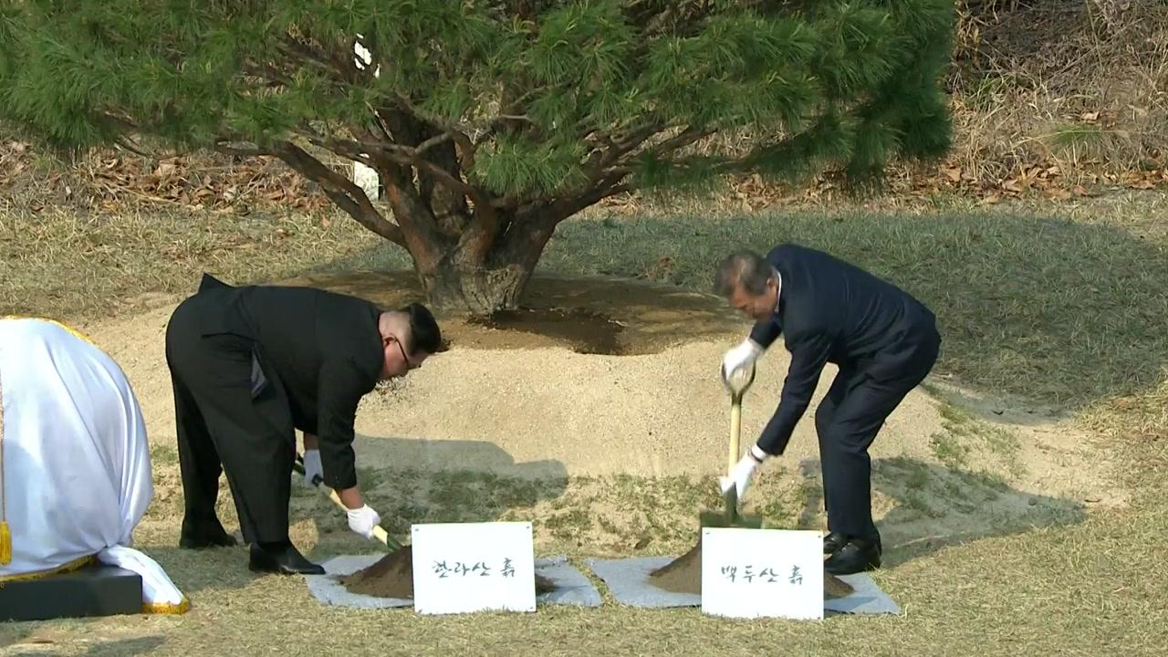 朝韩首脑动手植树