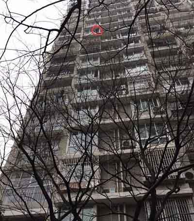 4岁女童从11楼阳台坠下 却自己爬了起来