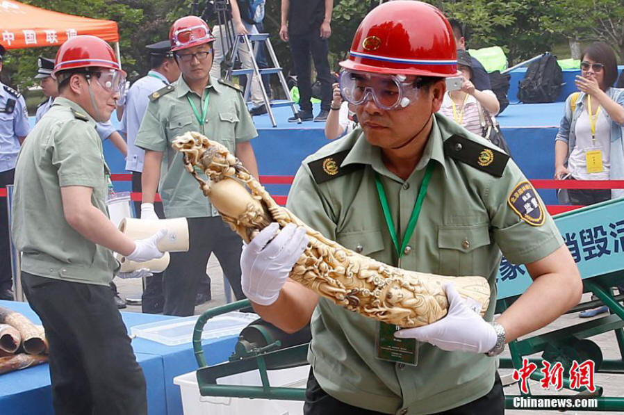 中国执法查没象牙销毁活动