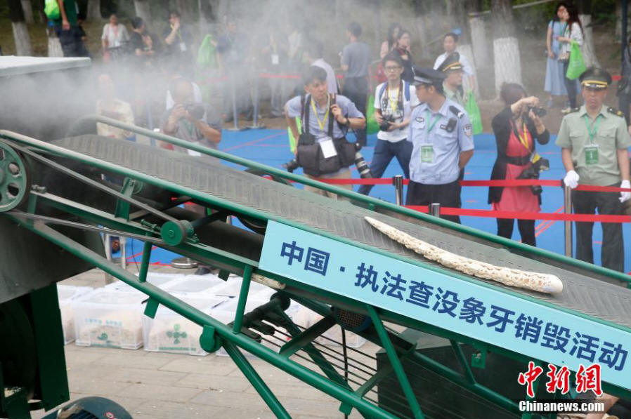 中国执法查没象牙销毁活动