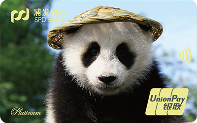 浦发梦卡之动感熊猫信用卡-草帽版