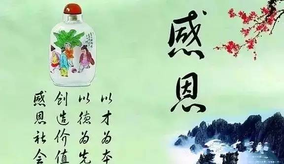 浙江的一名亿万富豪收养了一位漂亮的养女文章插图 感恩