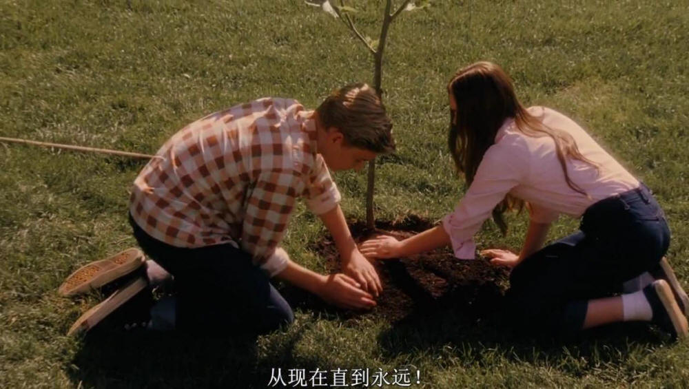 浪漫夫妻 植树活动