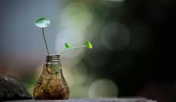 阅读与欣赏 人生哲理 花瓶