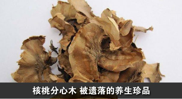 保健珍品 核桃分心木