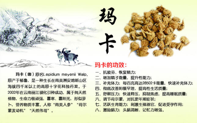 纯天然保健食品 玛卡