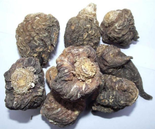 纯天然保健食品 玛卡