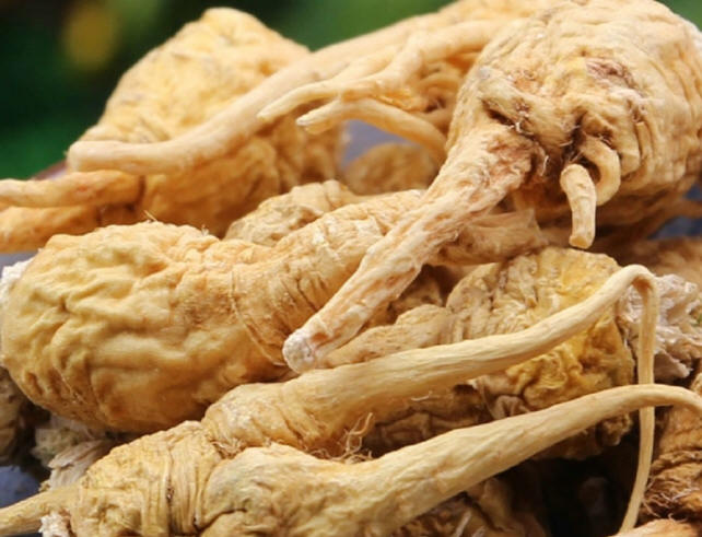 纯天然保健食品 玛卡