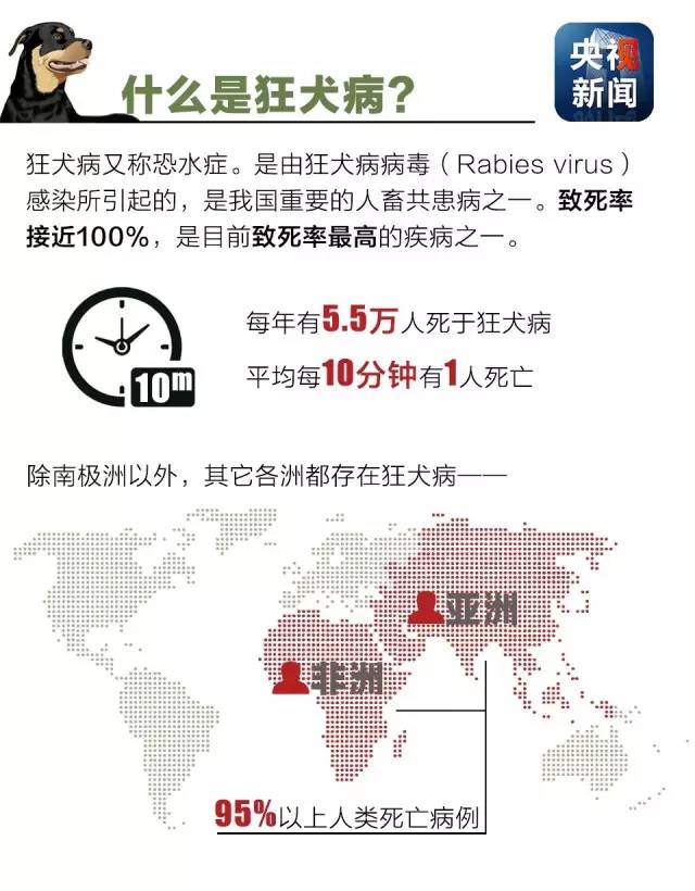 什么是狂犬病