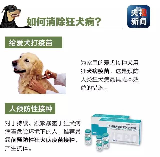 如何消除狂犬病