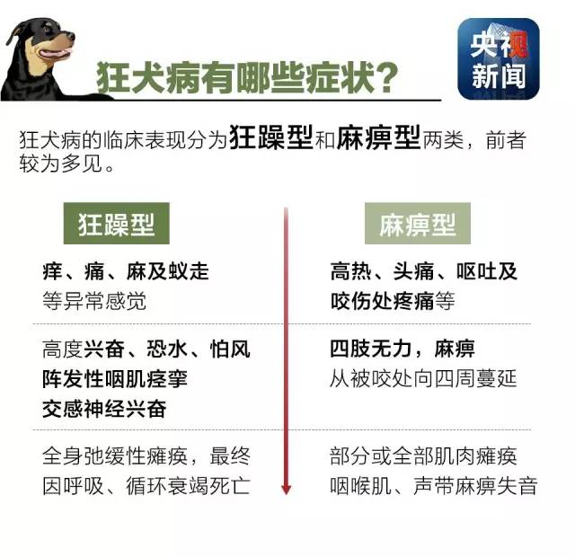 狂犬病有哪些症状