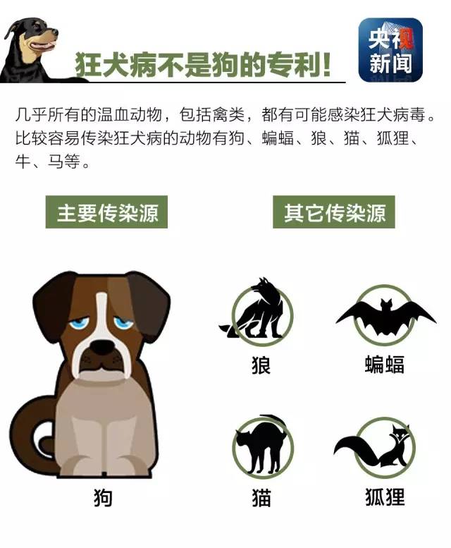 狂犬病的传染源