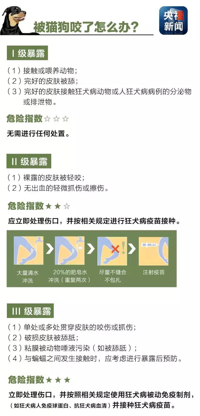 被猫狗咬了怎么办