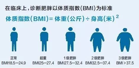 肥胖的诊断 体质指数 健康减脂技术 肥胖的治疗 科学减肥方法