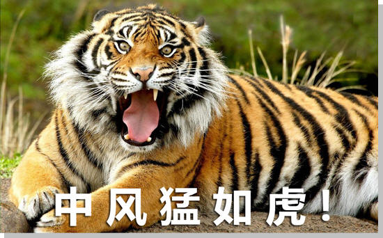 中风的中药治疗 如何预防中风