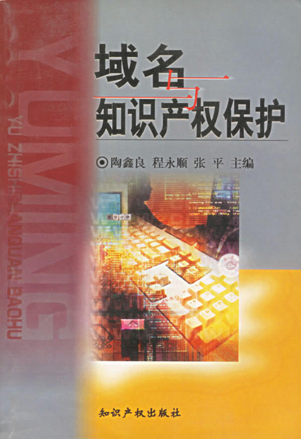 《域名与知识产权保护》